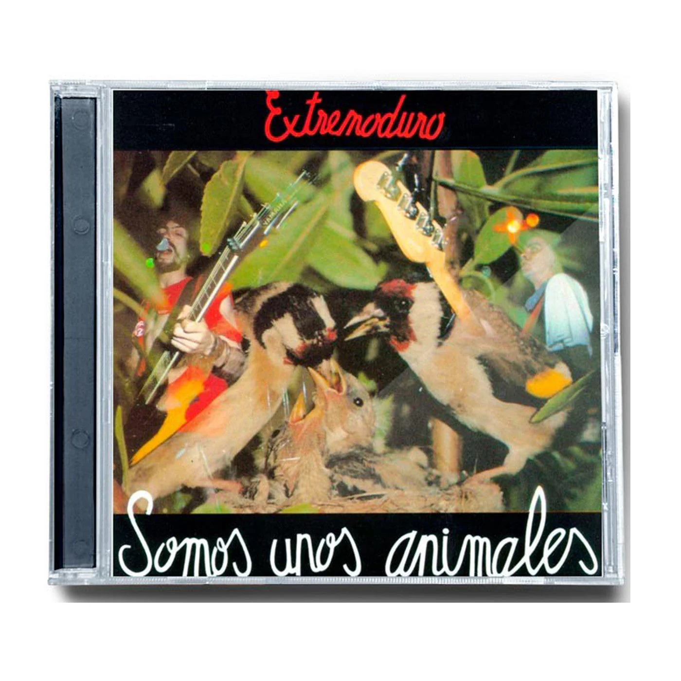 Miniatura 1